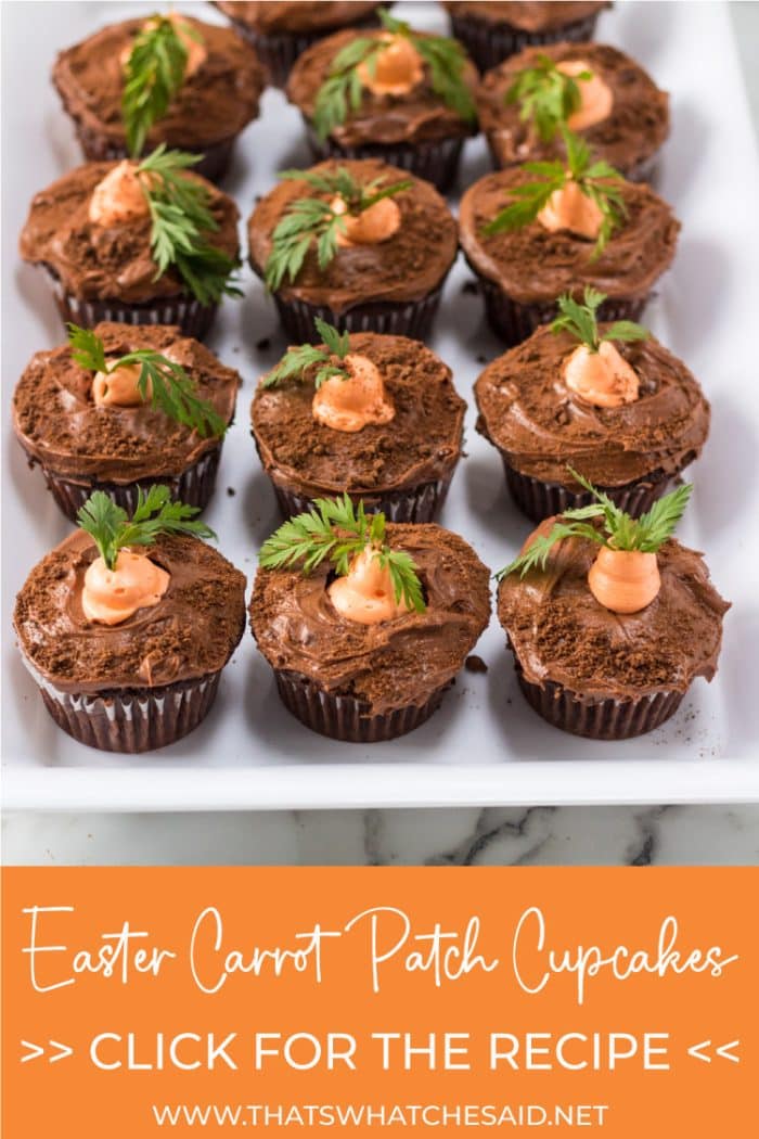 Pin image of Carrot Patch Cupcakes on white plate