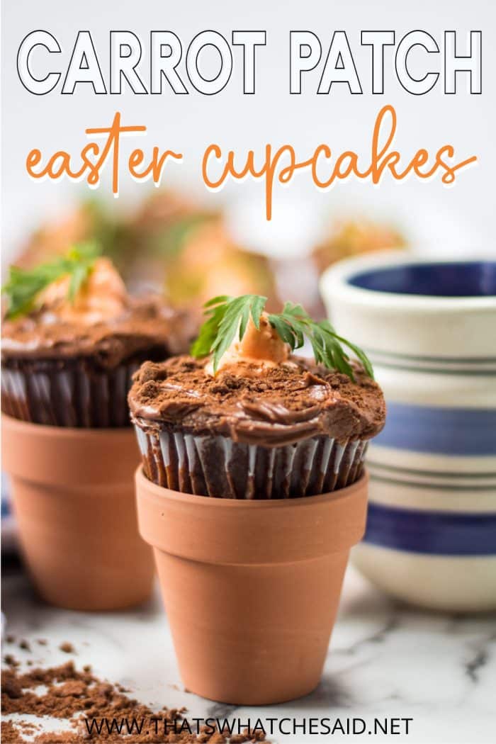 Carrot Patch Cupcake in small terra cotta pot