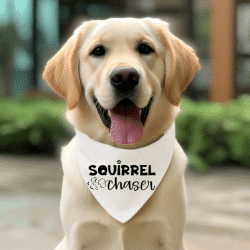Dog with "Squirrel Chaser" on a dog bandana