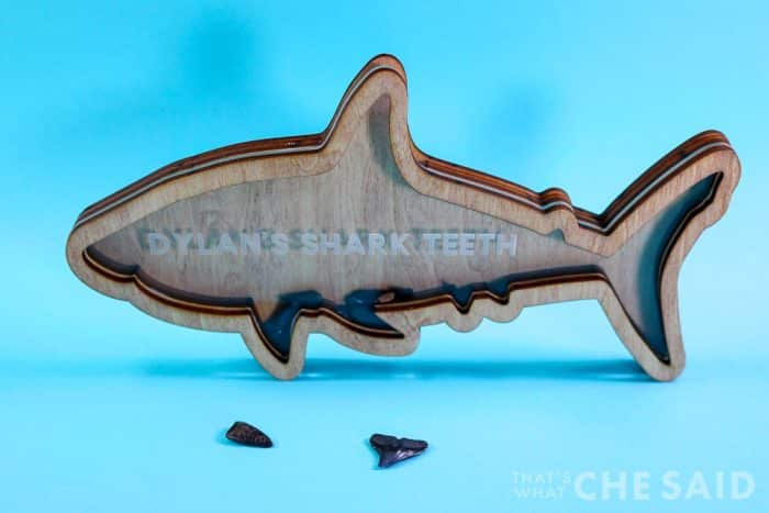 shark bank made with plywood and acrylic to collect shark teeth, laser cut with the xtool p2 co2 laser cutter
