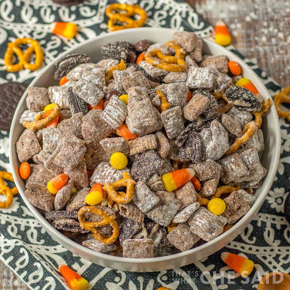 Square shot of Fall Puppy Chow in white bowl