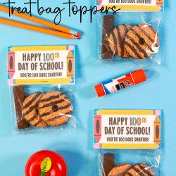 100 Days of School Treat bag topper printable pin