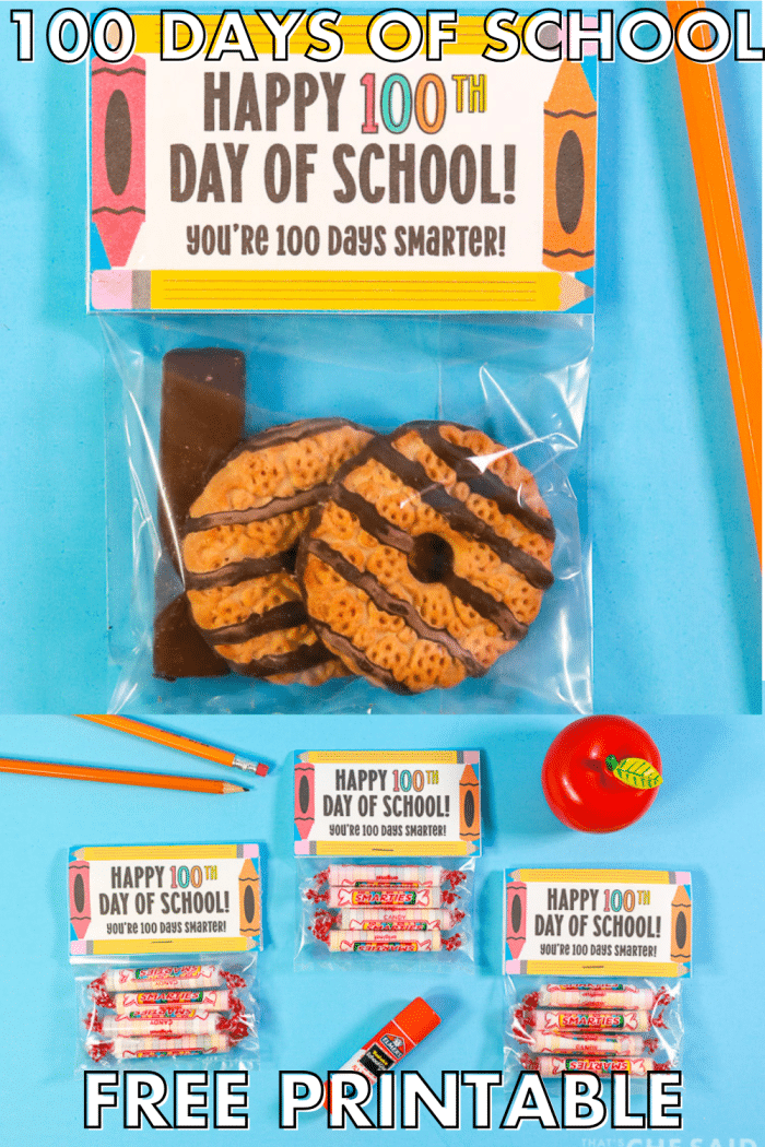 100 Days of School Treat bag topper printable pin