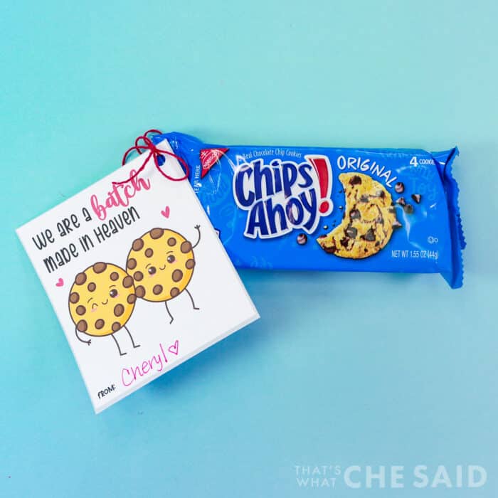 Chips Ahoy Cookie Class Valentine - Square