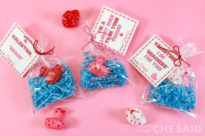 Three treat bags filed with crinkcle paper and a rubber duck tied and with a tag