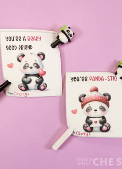 Purple background with Panda Valentine cards and panda pens in Square format
