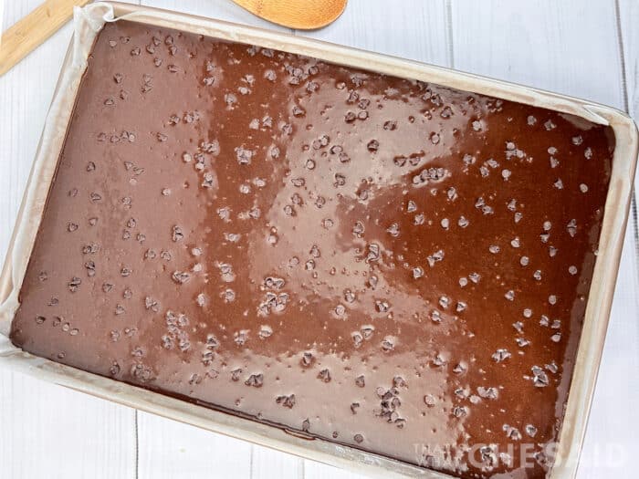Brownie batter in sheet pan with chocolate chips dropped on top