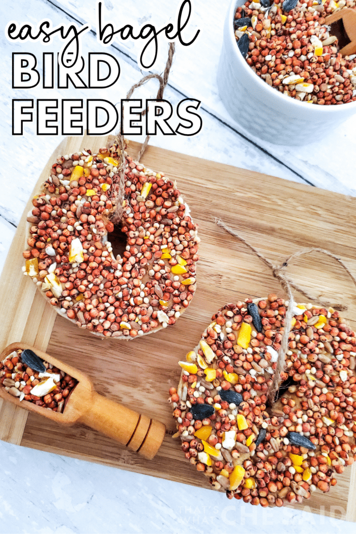 Easy Bagel Bird Feeders Pin
