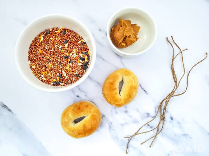 Supplies for DIY Bird Feeders