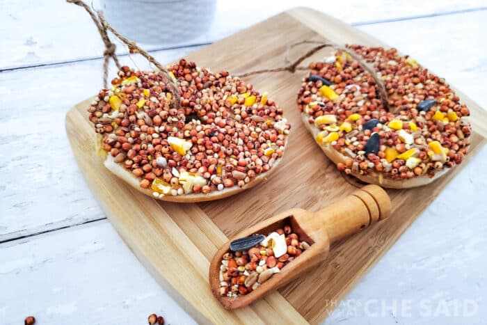 Horizontal finished bagel bird feeders