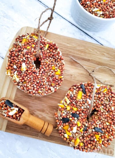 Featured image of diy bird feeders with bagels and bird seed