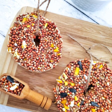 Featured image of diy bird feeders with bagels and bird seed
