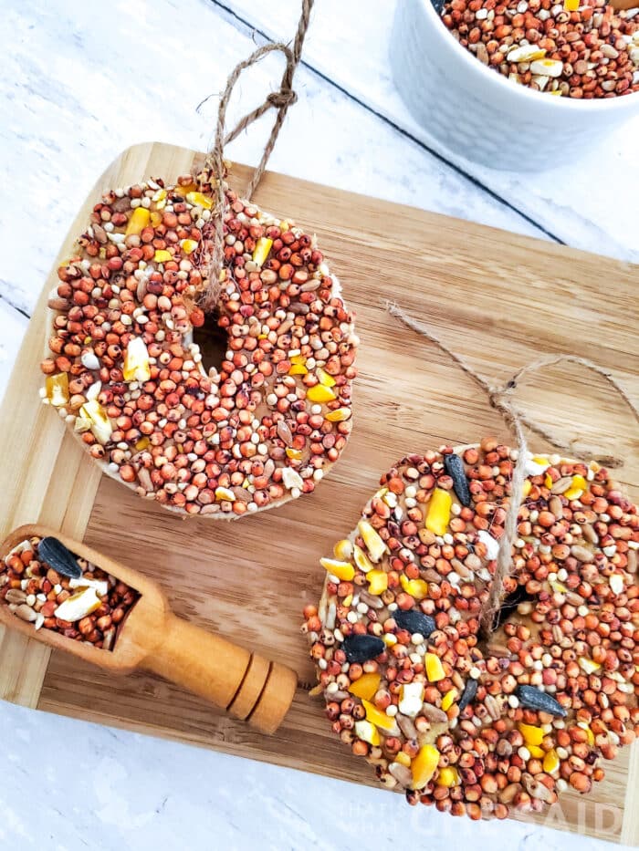 Featured image of diy bird feeders with bagels and bird seed