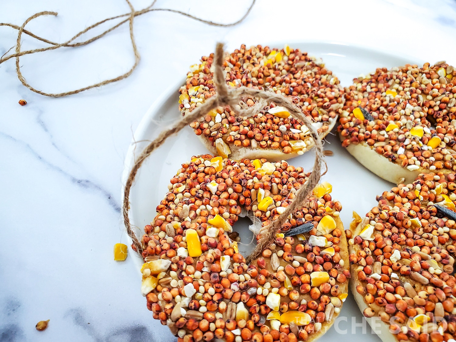 A piece of twine strung through bagels for bird feeders