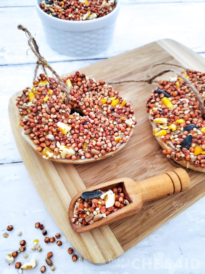 Finished bagel bird feeders