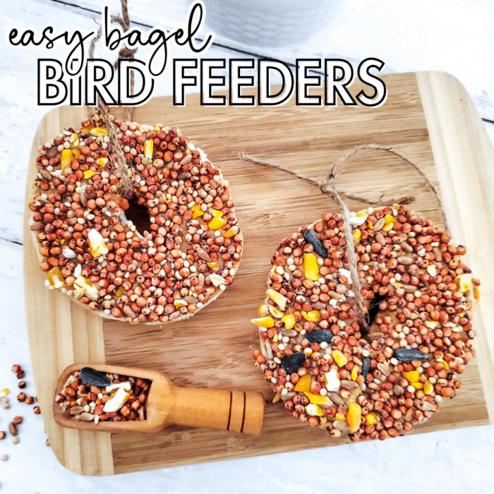 Easy Bagel Bird Feeders Square Social Image