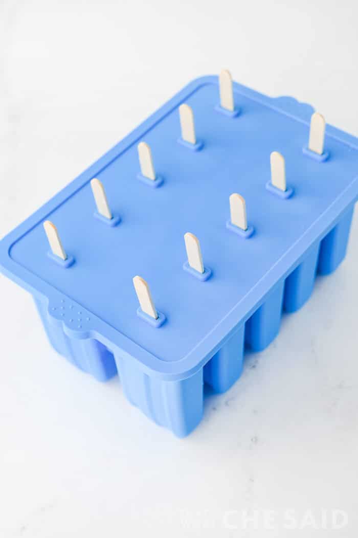 Popsicile mold, filled, with lid and popsicle sticks inserted