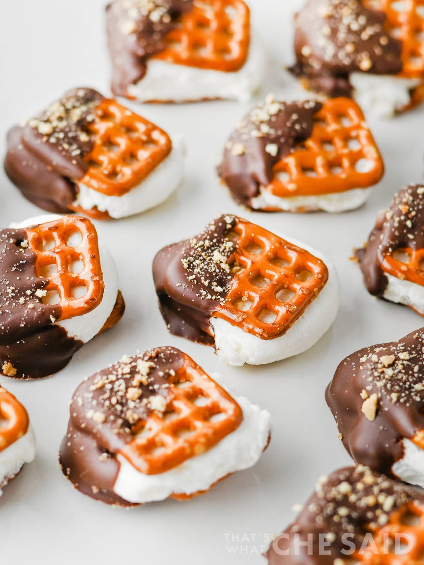 S'Mores Pretzel Bites-15 Smore Pretzel Bites close up vertical