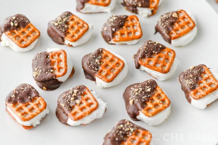 Smore Pretzel Bites close up shot in horizontal orientation