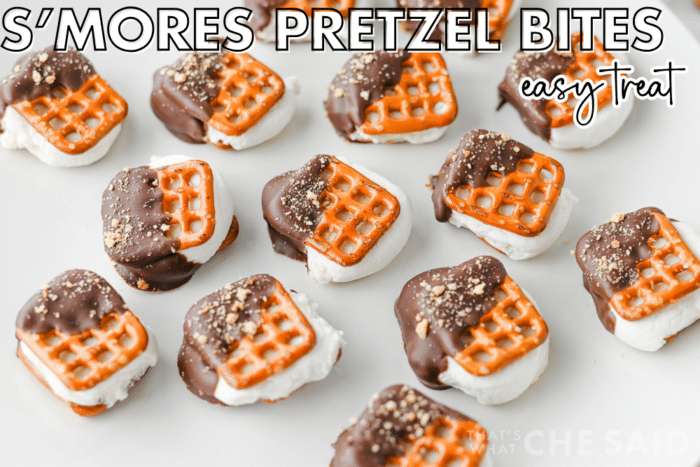 Smore Pretzel Bites Facebook Image