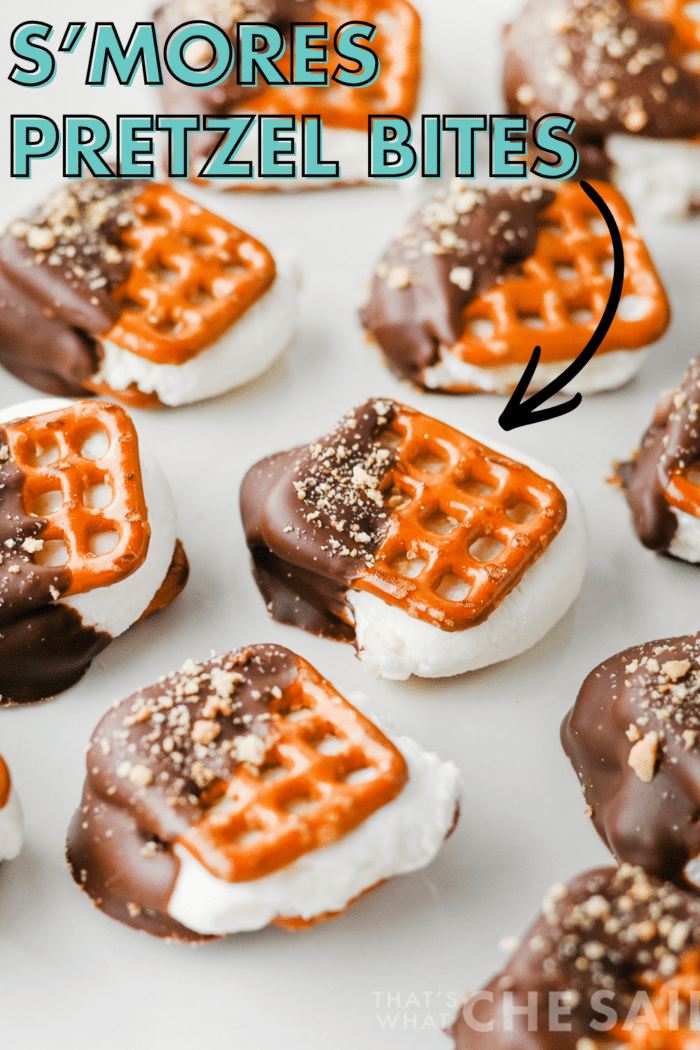 Smore Pretzel Bites Pinterest Pin